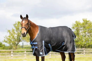 StormX Empra Extra 200g Turnout Rug with Detachable Neck| Online For Equine