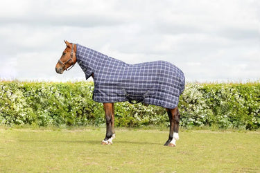 Medium Weight Stable Rug | 150g–250g Rugs | Online for Equine – Online ...