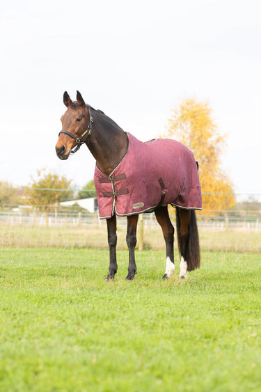 StormX Empra Luxury Show Rug| Online For Equine