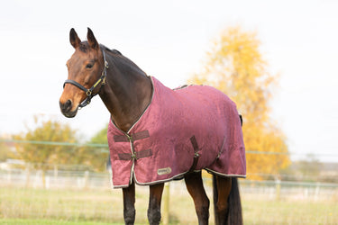 StormX Empra Luxury Show Rug| Online For Equine
