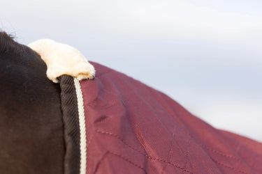 StormX Empra Luxury Show Rug| Online For Equine