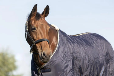 StormX Empra Luxury Show Rug| Online For Equine
