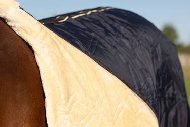 StormX Empra Luxury Show Rug| Online For Equine