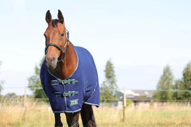 StormX Empra Opulence Fleece Rug| Online For Equine