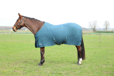 StormX Empra Pima Cotton Sheet| Online For Equine