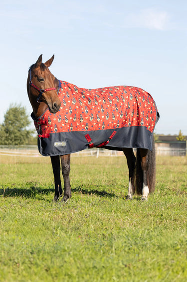 StormX Original 100 Turnout Rug| Online For Equine