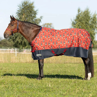 StormX Original 100 Turnout Rug| Online For Equine