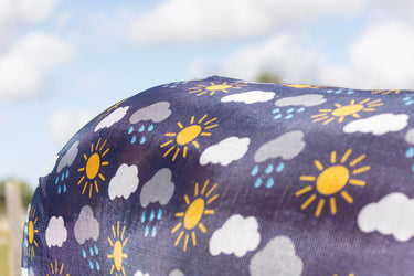 StormX Original Come Rain or Shine Combi Fly Rug| Online For Equine