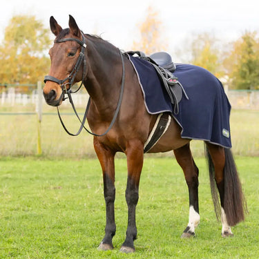 StormX Original Fleece Exercise Sheet| Online For Equine