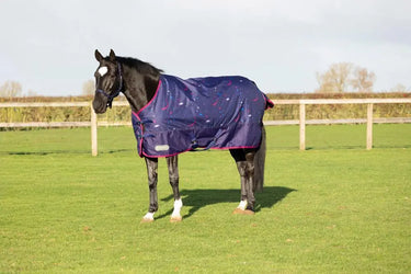 StormX Original Out of this World 100 Turnout Rug| Online For Equine