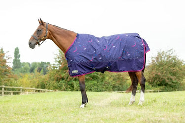 StormX Original Out of this World 100 Turnout Rug| Online For Equine