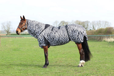 StormX Original Sweet Itch Zebra Rug| Online For Equine