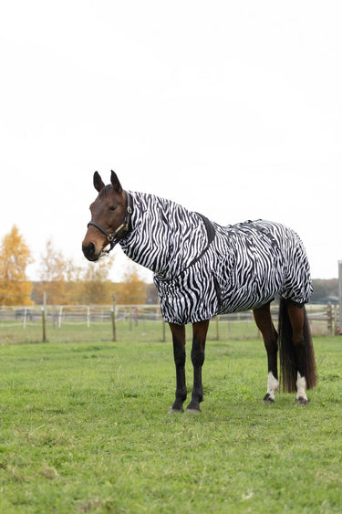 StormX Original Sweet Itch Zebra Rug| Online For Equine