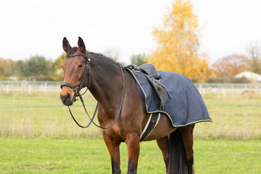 StormX Original Waterproof Exercise Sheet| Online For Equine