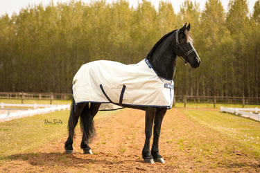 Bucas Sun Shower Rug