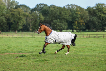 Bucas Sun Shower Rug