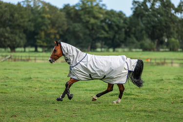 Bucas Sun Shower Neck