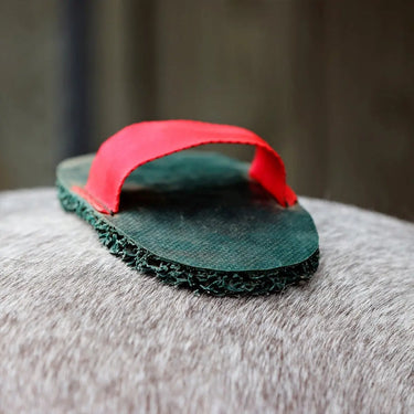 Buy Super Groomer Deluxe Edition Coarse-Green| Online for Equine