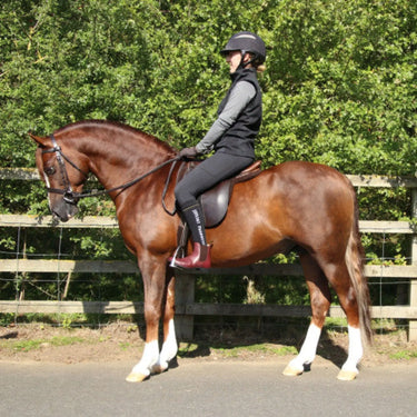 Buy Supreme Products Active Show Rider Gilet| Online for Equine