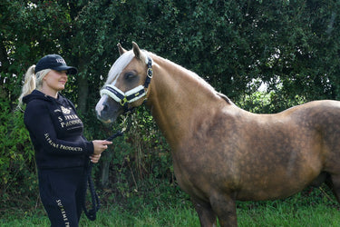 Supreme Products Active Show Rider Hoodie| Online For Equine