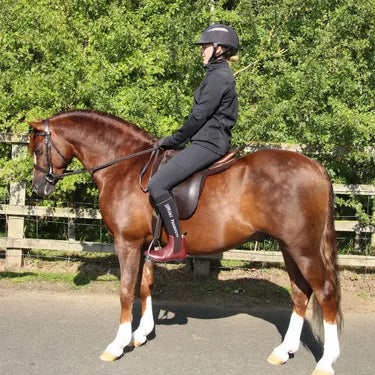 Buy Supreme Products Active Show Rider Jacket| Online for Equine