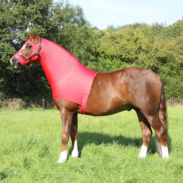 Supreme Products Lycra Hood| Online For Equine