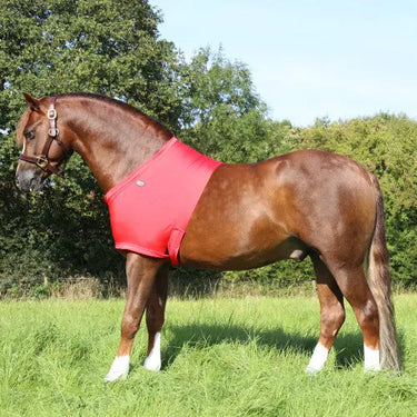 Buy Supreme Products Lycra Vest| Online for Equine