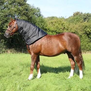 Buy Supreme Products Neck Sweat Neck Rug| Online for Equine