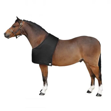 Buy Supreme Products Padded Bib| Online for Equine