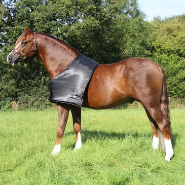 Buy Supreme Products Padded Bib| Online for Equine