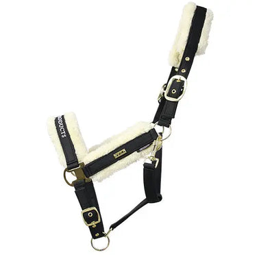 Buy Supreme Products Royal Occasion Head Collar| Online for Equine