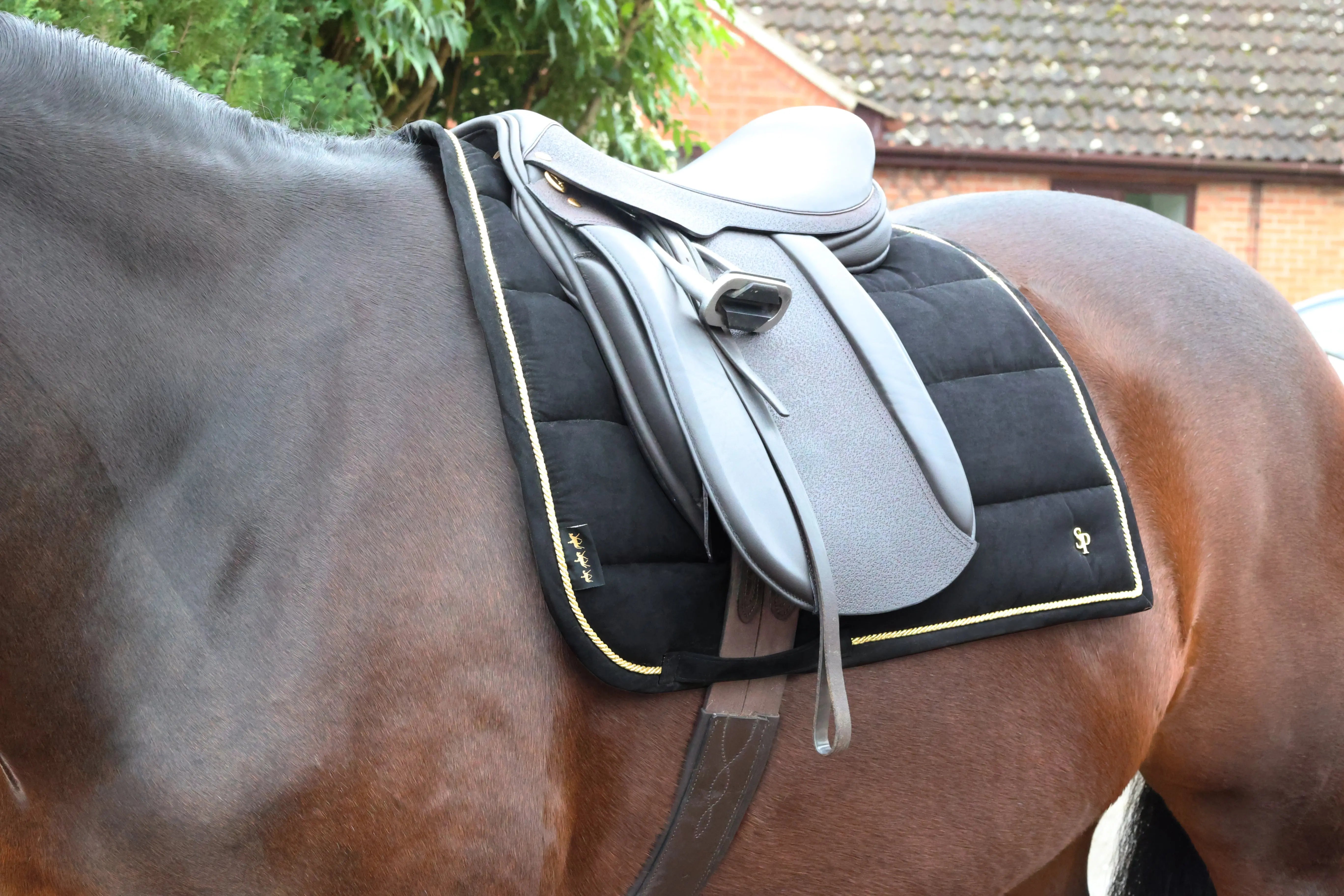 Royal Pad File Buy Supreme Products Royal Occasion Suede Saddle Pad | Online for ...