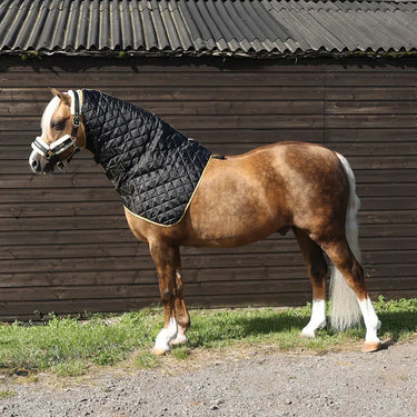 Supreme Products Show Quilted Hood| Online For Equine