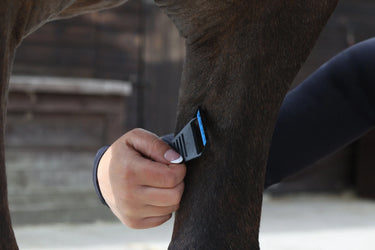 Supreme Products Smooth Shave| Online For Equine