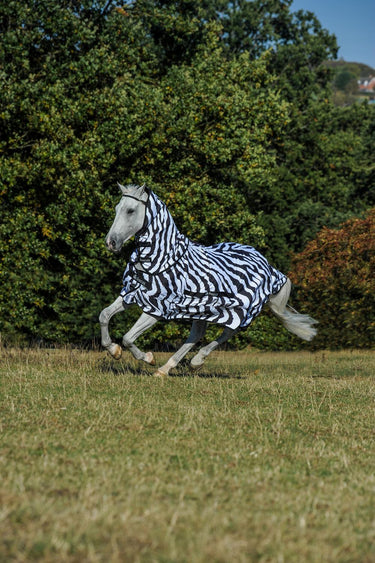 Bucas Sweet Itch Zebra Print Rug
