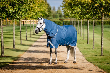 Horseware Ireland Ionic Therapy Turnout Rug 100G