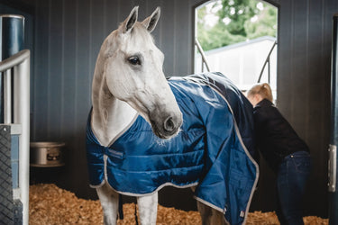 Horseware Ireland Ionic Therapy Liner Rug 50G