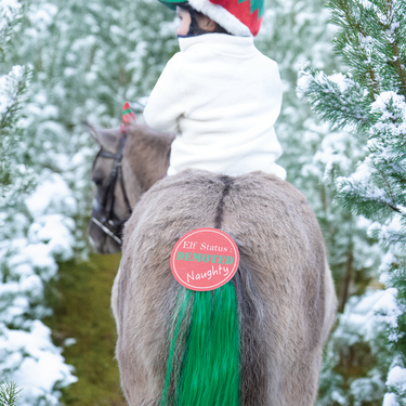 Equetech Cheeky Elf Festive Christmas Tail Tassel