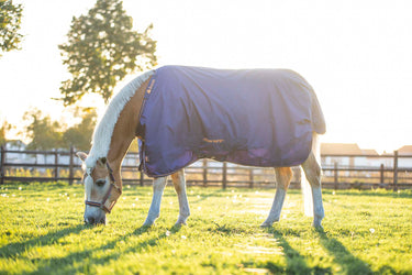 Bucas Therapy Turnout Light Rug