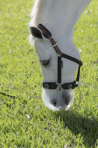 Buy ThinLine Flexible Breakaway Field Safe Headcollar| Online for Equine