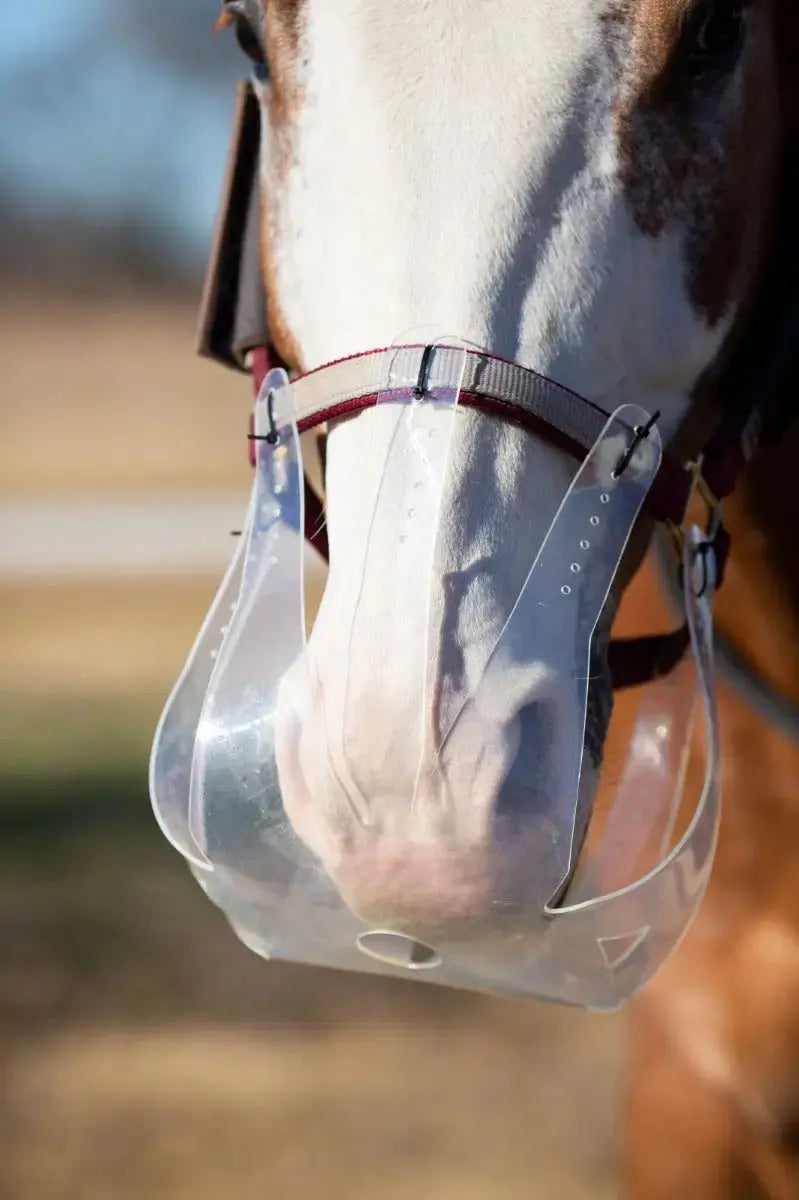 Muzzle Rifle Inline Buy ThinLine Flexible Filly Grazing Muzzle | Online for Equine – Online ...
