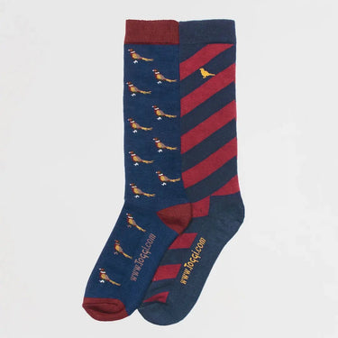 Toggi Blue/Sienna Frankland Mens 2 Pack Socks