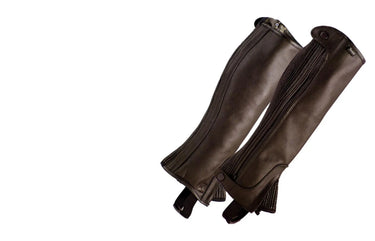 Buy Toggi Castor Leather Half Chaps| Online for Equine