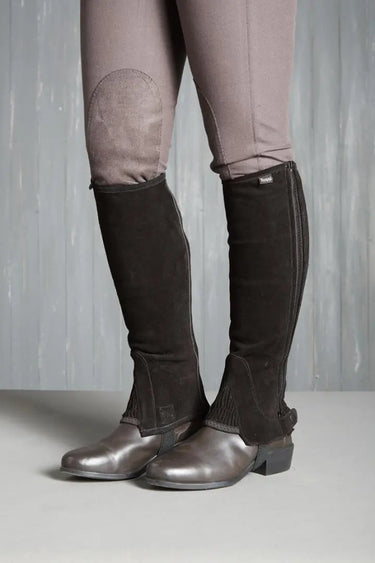 Buy Toggi Chelmsford Suede Half Chaps| Online for Equine