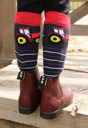Tractor Collection Socks by Little Knight (Pack of 3)| Online For Equine