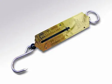 Buy Traditional Spring Balance-One Size| Online for Equine