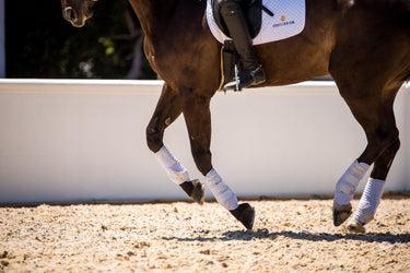 Buy Equilibrium White Stretch & Flex Training Wraps | Online for Equine