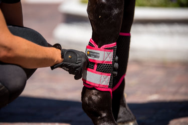 Buy Equilibrium Breathable Tri-Zone Brushing Boots Fluorescent Pink | Online for Equine