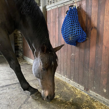 Trickle Net Shake & Graze Chaff Net| Online For Equine