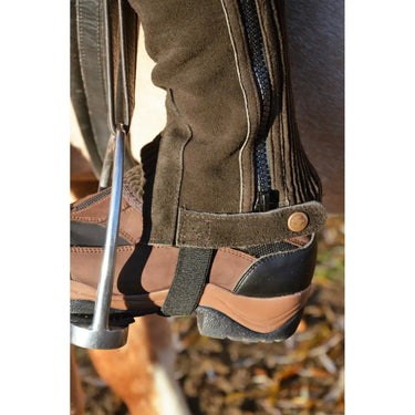 Buy Tuffa Endurance Horse Riding Trainer| Online for Equine